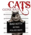 Cats Gone Bad - tantis.pl