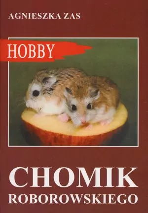Chomik Roborowskiego - tantis.pl