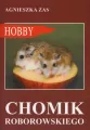 Chomik Roborowskiego - tantis.pl