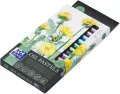 Pastele olejne Artistic OXFORD - tantis.pl