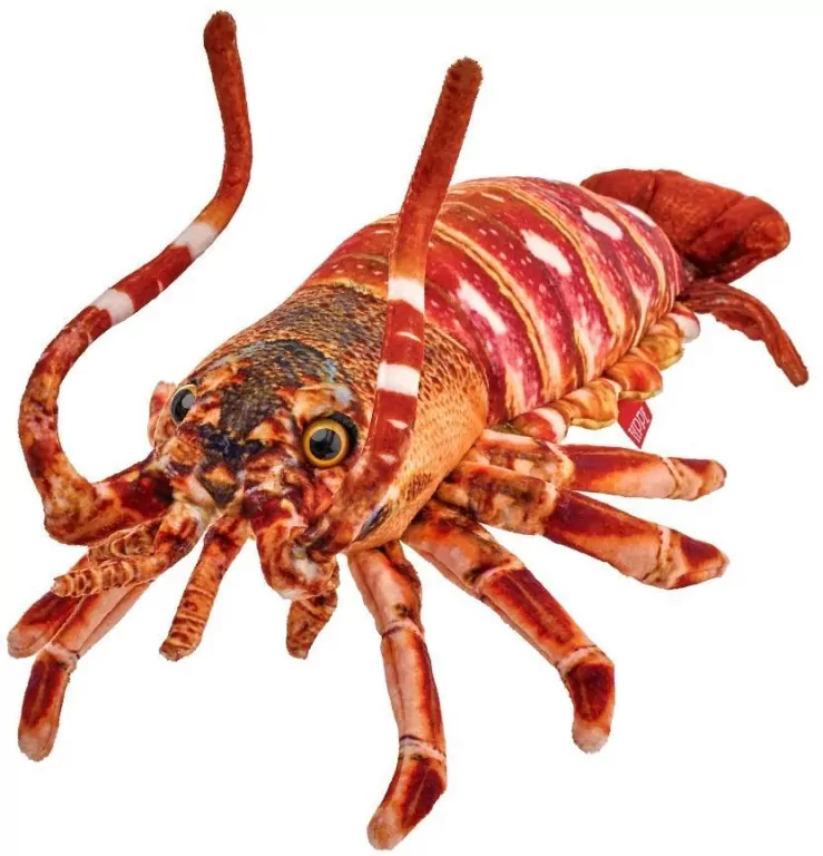 Homar 33cm - tantis.pl
