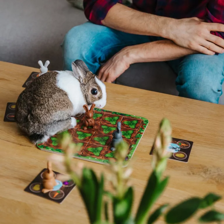 Grabbit. Smart Games - tantis.pl