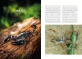 Atlas pajęczaków hodowlanych. 100 gatunków - tantis.pl