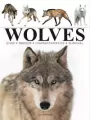 Wolves - tantis.pl