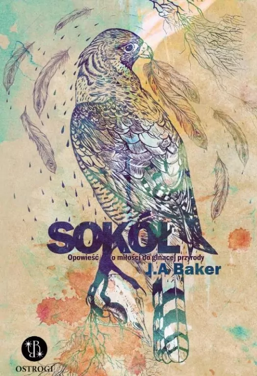 Sokół. Opowieść o miłości do ginącej przyrody - tantis.pl