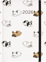 Kalendarz dzienny 2026 B6 Psy ALBI