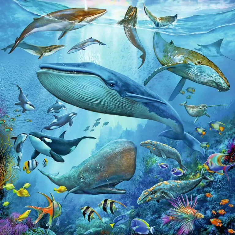 Puzzle 3x49. Podwodne życie - tantis.pl