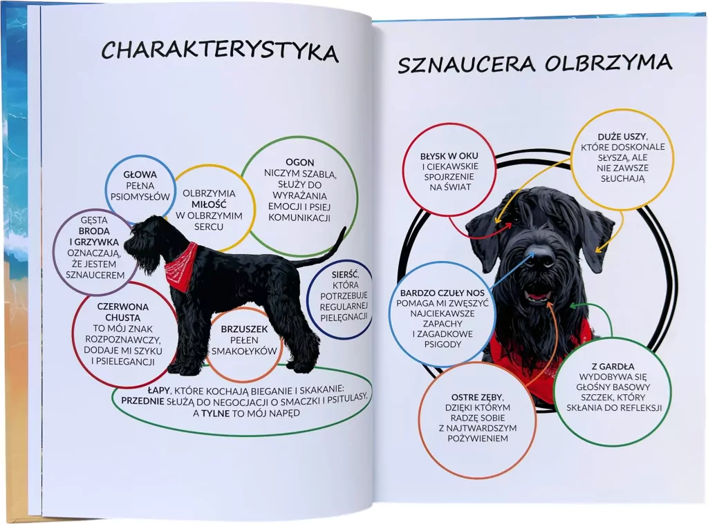 Sznaucer Bingo na tropie psigód - tantis.pl