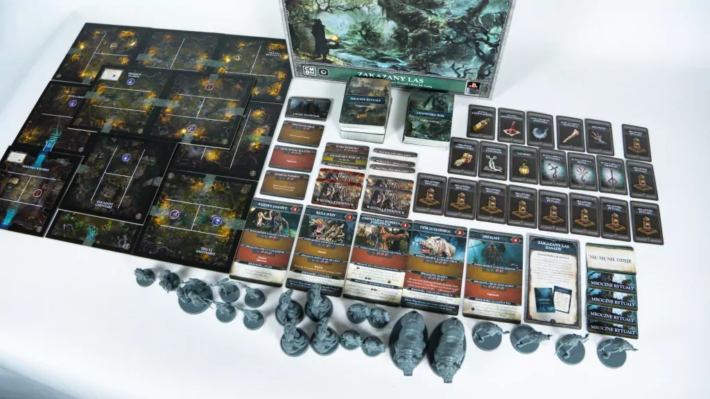 Bloodborne: Zakazany Las - tantis.pl