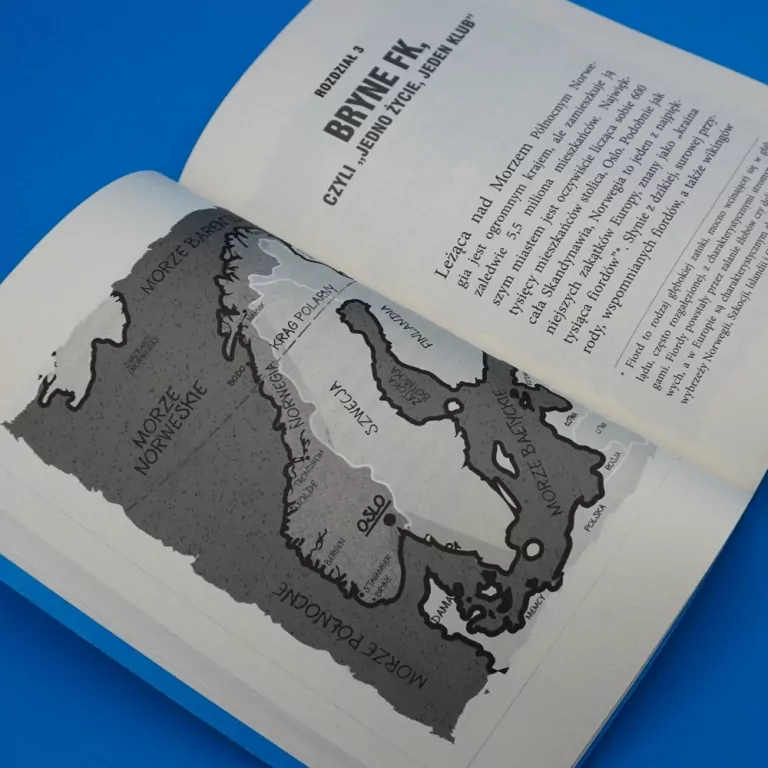 Haaland. Norweski terminator - tantis.pl