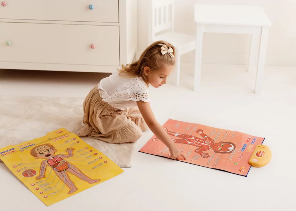 Edukacyjne plakaty. Człowiek - tantis.pl