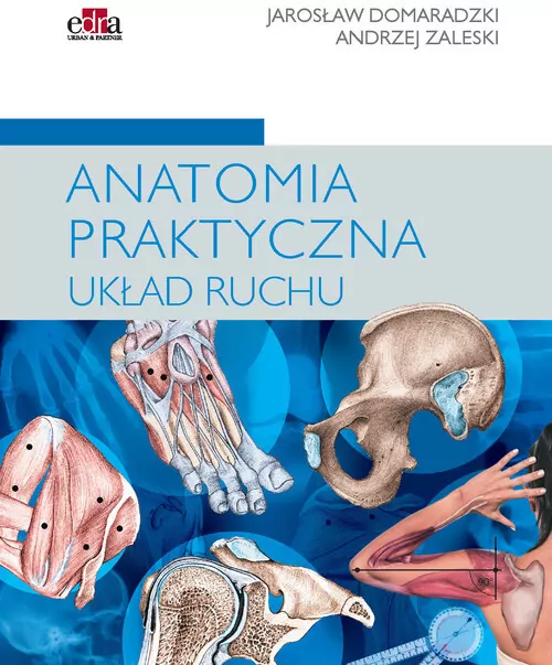 Anatomia praktyczna Układ ruchu - tantis.pl