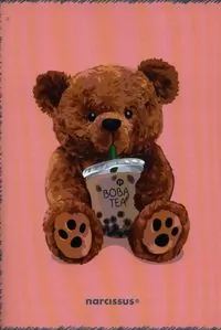 Zeszyt A4 60k.kratka PP Teddies 1szt.mix - tantis.pl