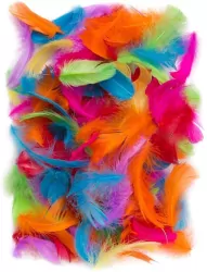 Piórka 5-12cm 10g brights