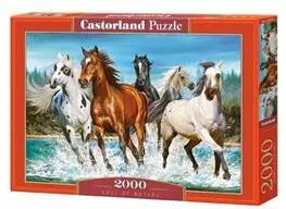 Puzzle 2000. Call of Nature. Zew natury - tantis.pl