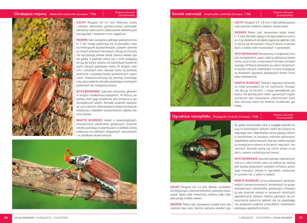 Atlas owadów. 250 polskich gatunków - tantis.pl