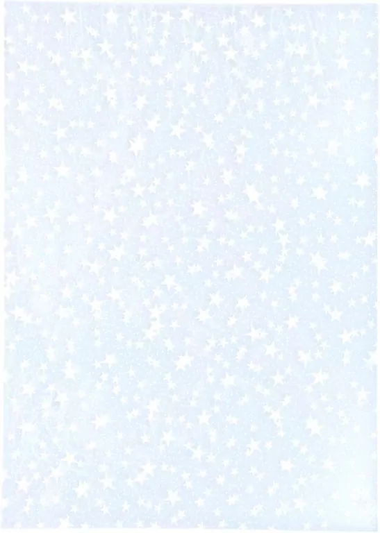 Torba foliowa 25/35 świąteczna D2 p25/cena za - tantis.pl