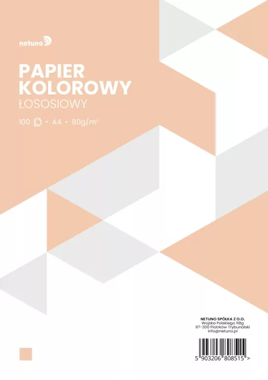 PAPIER XERO KOL A4 80G LOSOS OP100ARK NETU - tantis.pl