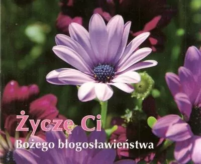 Życzę Ci Bożego błogosławieństwa. Perełka nr 215 - tantis.pl