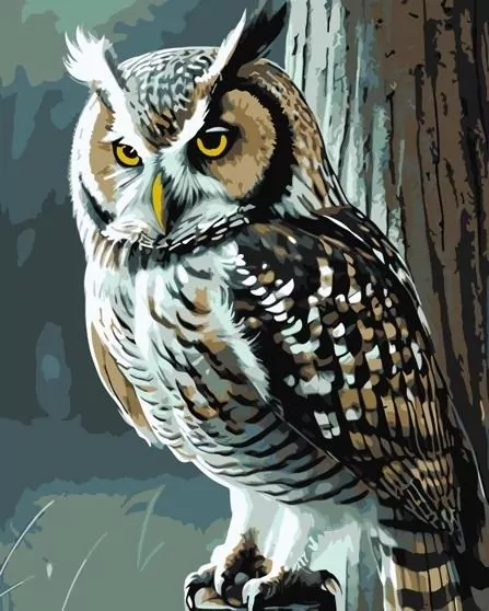Malowanie po numerach - Mądra sowa 40x50cm - tantis.pl