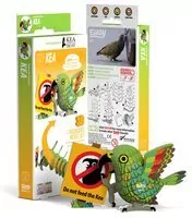 Papuga Kea Eugy. Eko Układanka 3D
