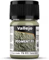 Pigment Green Earth - tantis.pl
