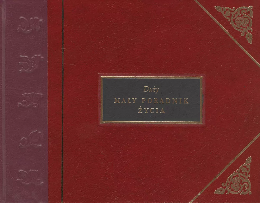 Duży mały poradnik życia - tantis.pl