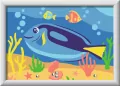 CreArt for Kids Colorful Doctorfish - tantis.pl