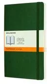 Notes 13x21 linie myrtle green MOLESKINE - tantis.pl