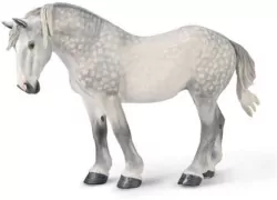 Klacz percheron siwa jabłkowita