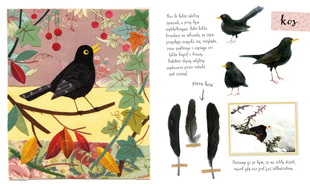 Mały atlas ptaków Ewy i Pawła Pawlaków - tantis.pl