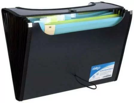 Strigo. Teczka A4 z 12 przekładkami V-file, czarna - tantis.pl