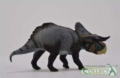 Dinozaur Nasutoceratops titusi - tantis.pl