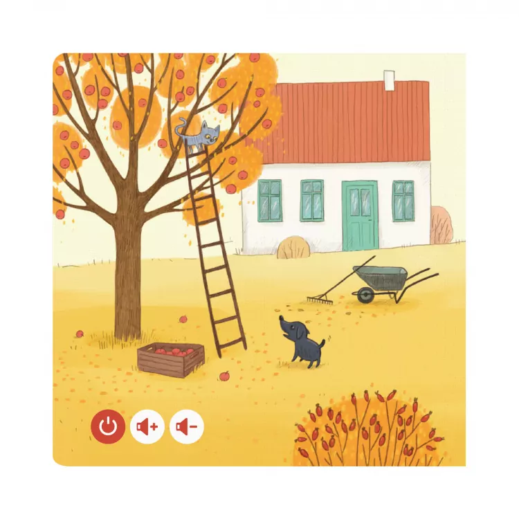 Jesień. Czytaj z Albikiem - tantis.pl