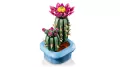 LEGO®. Botanical Collection. Kwitnący kaktus. 11509 - tantis.pl