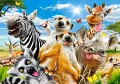 African selfie. Puzzle 500 elementów - tantis.pl