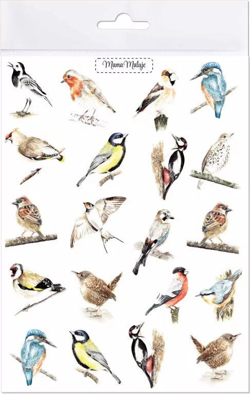 Tatuaże zmywalne. Ptaki - tantis.pl