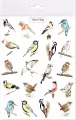 Tatuaże zmywalne. Ptaki - tantis.pl