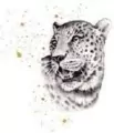Karnet. Złocony kwadrat. Gepard - tantis.pl