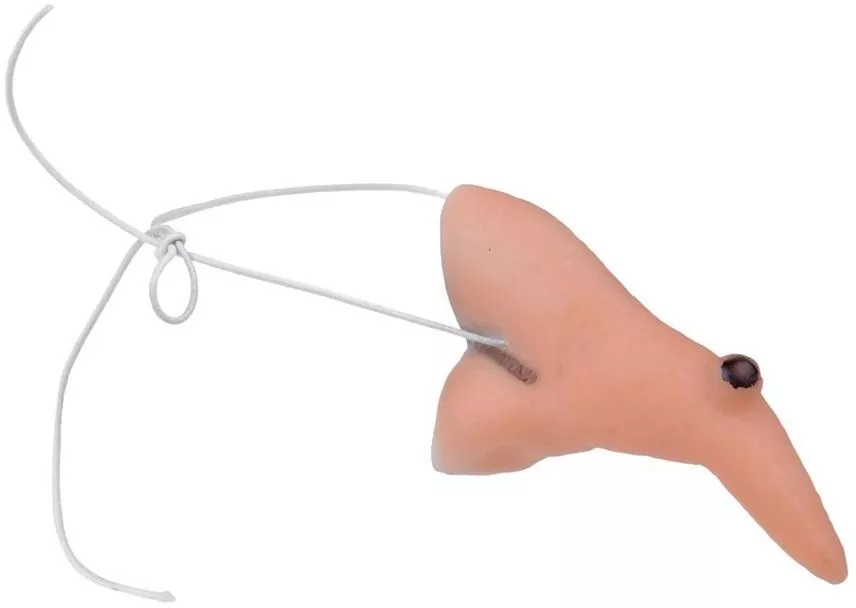 Nos czarownicy - tantis.pl