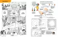 Manga. Kurs rysunku Delux - tantis.pl
