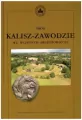Gród Kalisz-Zawodziewe we wczesnym średniowieczu - tantis.pl