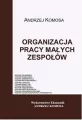 Organizacja pracy małych zespołów - tantis.pl