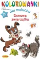Domowe zwierzęta. Kolorowanki dla malucha - tantis.pl