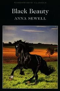 Black Beauty - tantis.pl