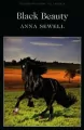 Black Beauty - tantis.pl