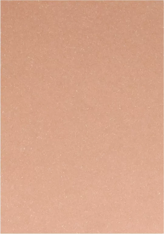 KARTON OZD A4 ROZ 220G WOOD GAL PAP FOL OP - tantis.pl