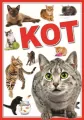 Koty - tantis.pl