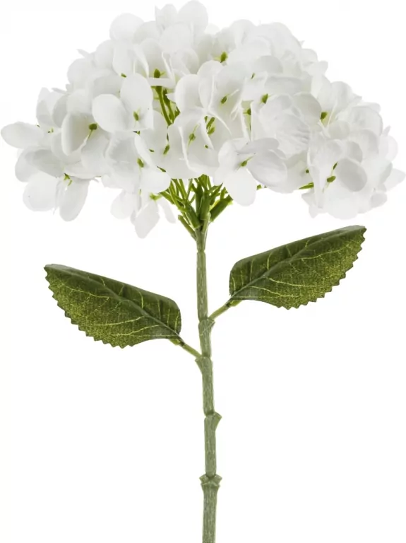 Hortensja biała 35cm - tantis.pl