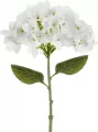 Hortensja biała 35cm - tantis.pl